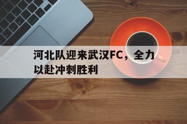 武汉队对河北队足球比赛 武汉队对河北队足球比赛